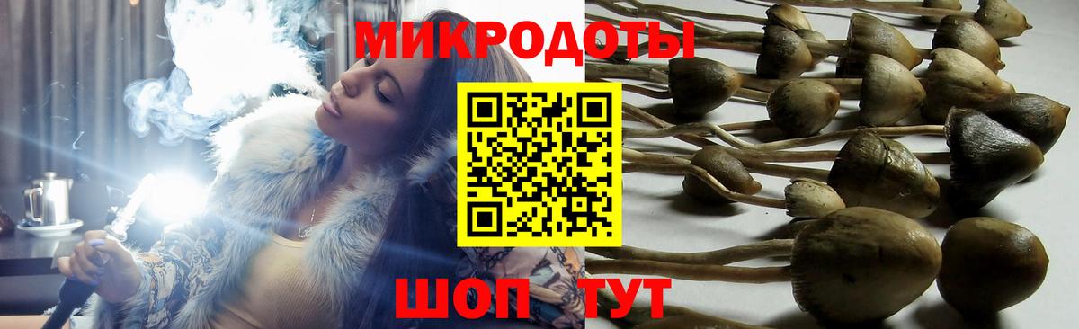 Псилоцибиновые грибы Cubensis Строитель